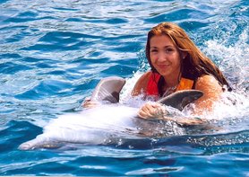 Swim with Dolphins DT Traveller Cozumel Mexico Online Booking