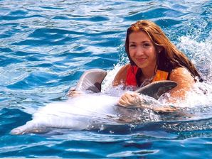 Swim with Dolphins DT Traveller Isla Mujeres Mexico Online Booking