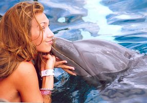 Swim with dolphins Cozumel Mexico Online Tickets
