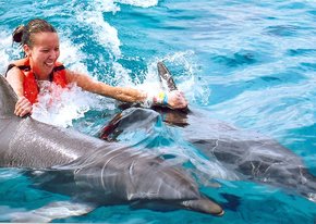 Schwimmen mit Delfinen Akumal Mexiko Online Buchen