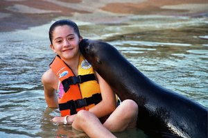 Cozumel Mexico Sea Lion Discovery Online Tickets